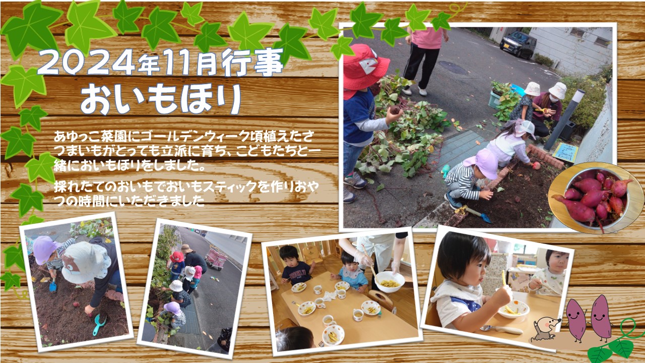 あゆっこ１１月行事いもほり