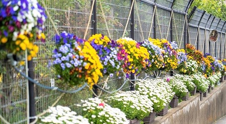 花壇の画像